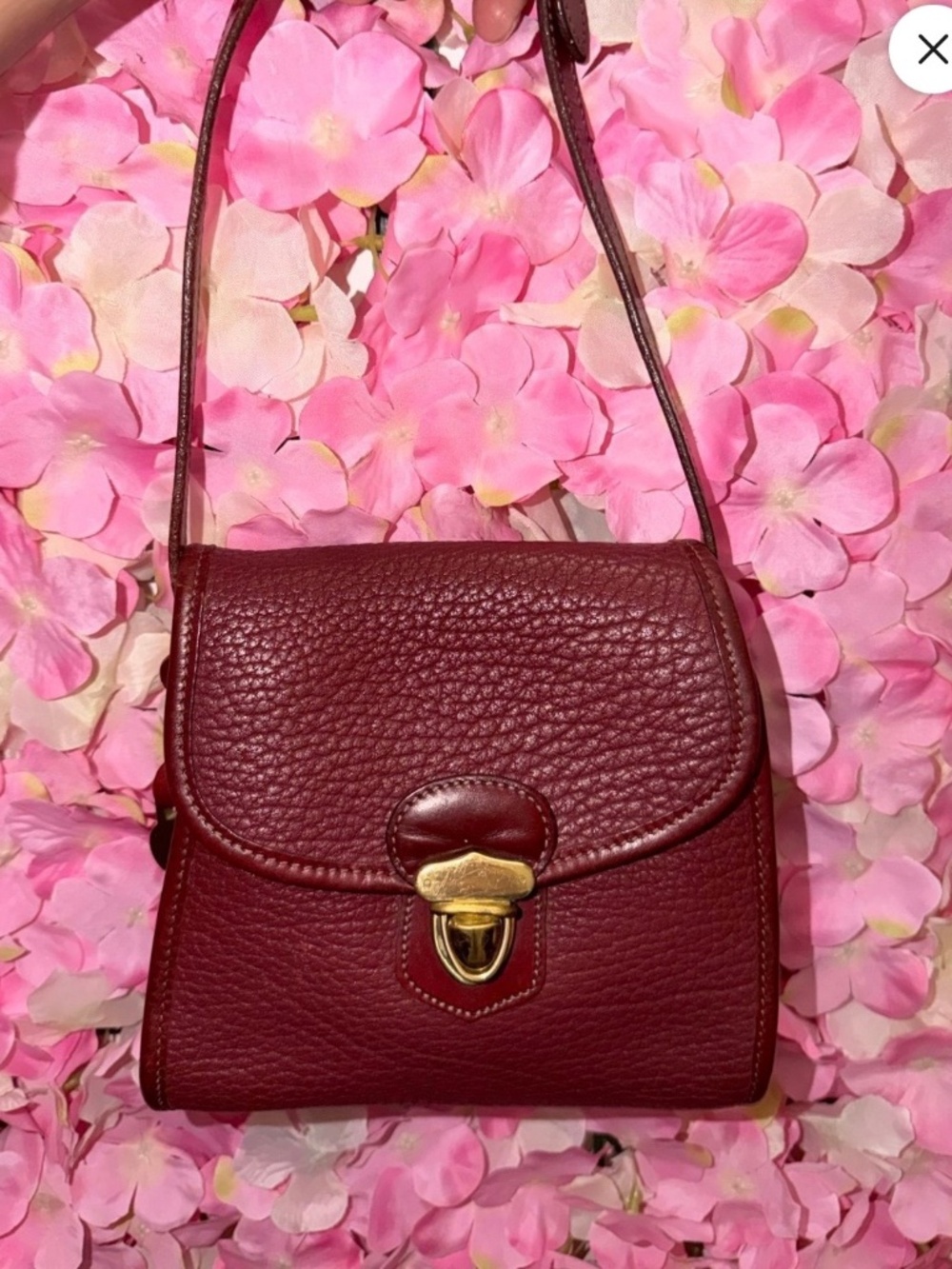 Dooney & Bourke vintage purse RARE bourgery